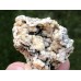 Chalcedon